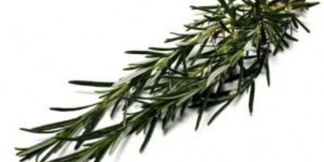 Рецепт коктейля мандариновая искра