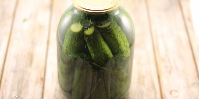Рецепт соленых огурцов с водкой