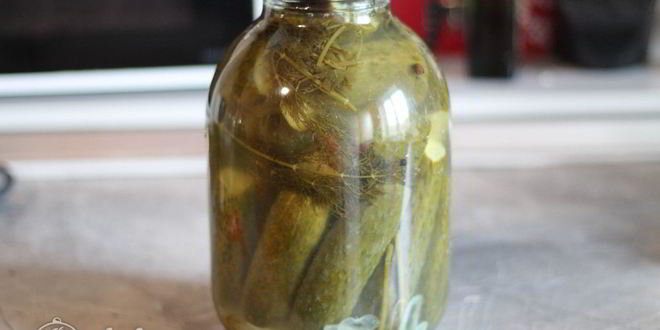 Рецепт соленых огурцов с водкой