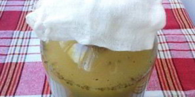 Рецепт кваса без дрожжей