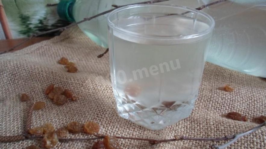 Рецепт кваса из березового сока без дрожжей