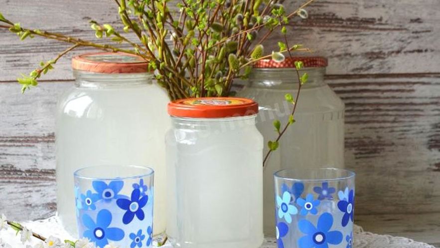 Рецепт кваса из березового сока с хлебом