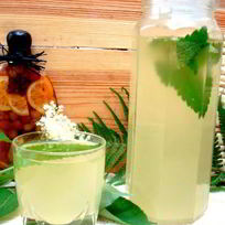 Рецепт Кваса из бузины