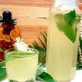 Рецепт Кваса из бузины