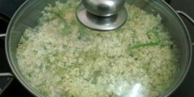 Рецепт кваса из бузины