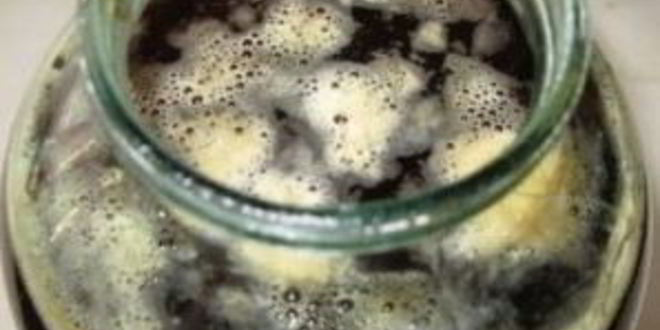 Рецепт кваса из концентрата