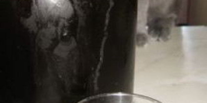 Рецепт кваса из концентрата