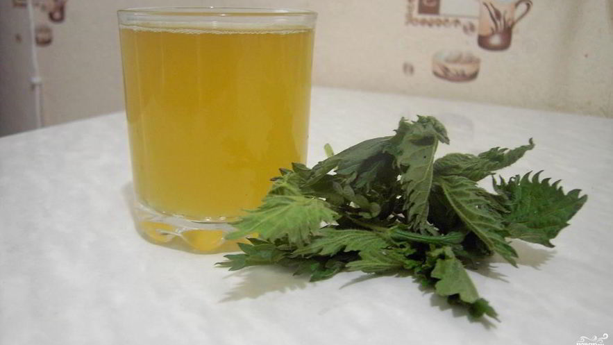 Рецепт кваса из крапивы