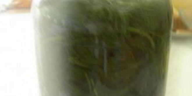 Рецепт кваса из крапивы