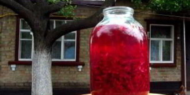Рецепт кваса из красной свеклы