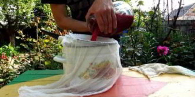 Рецепт кваса из красной свеклы