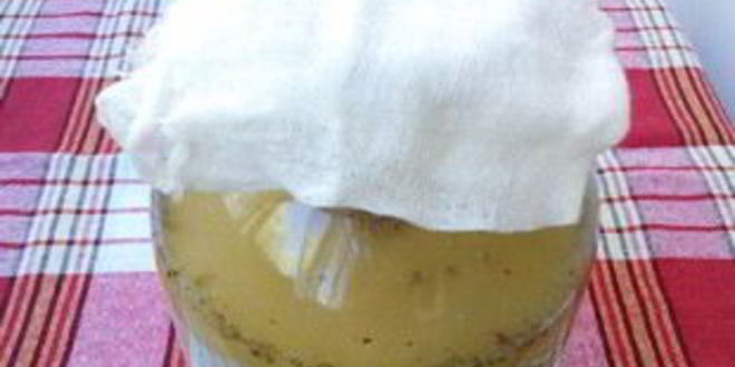 Рецепт кваса из муки без дрожжей