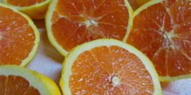 Рецепт апельсинового ликера куантро