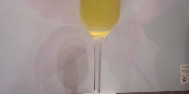 Рецепт домашнего ликера куантро