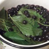 Рецепт Ликера Арника