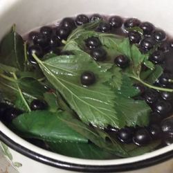 Рецепт Ликера Арника