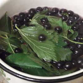 Рецепт Ликера Арника