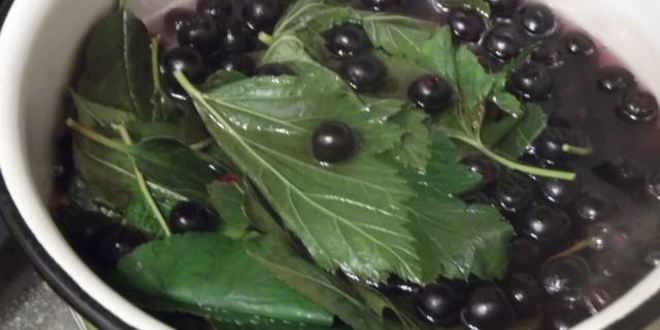 Рецепт ликера арника