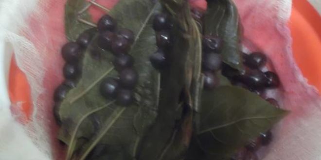 Рецепт ликера арника