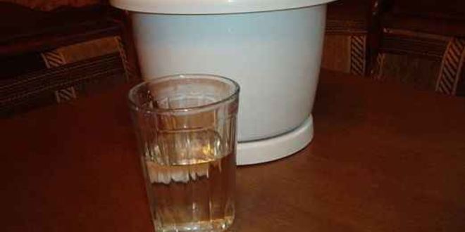 Рецепт ликера дикое молоко бешеной коровки