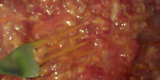 Рецепт ликера королевского