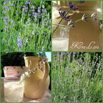 Рецепт Лимонада с лавандой