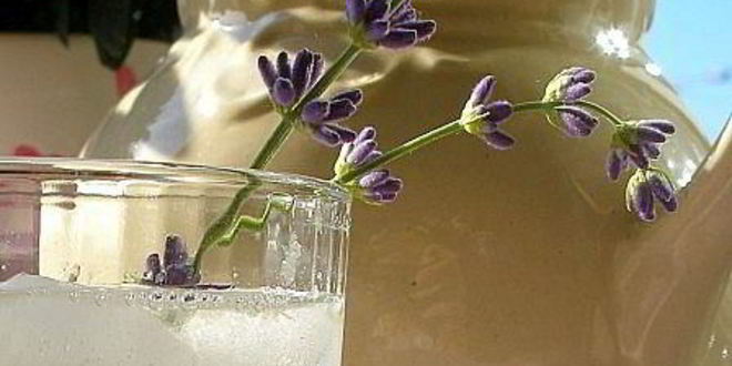 Рецепт лимонада с лавандой