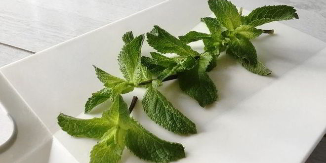 Рецепт лимонада с мятой и лаймом