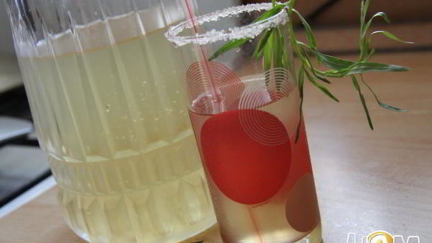 Рецепт лимонада с тархуном и мелисой