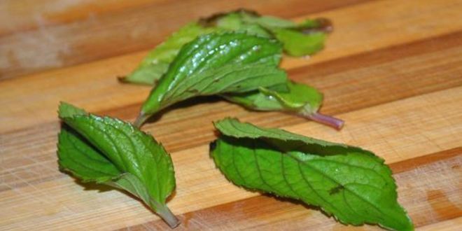 Рецепт огуречного лимонада