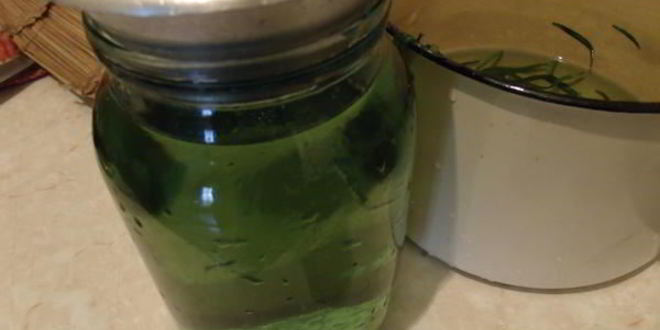 Рецепт тархунового лимонада