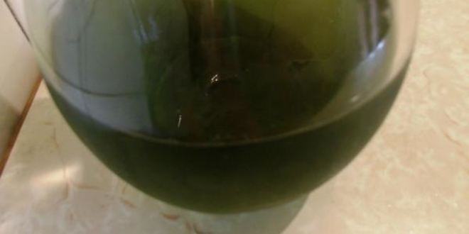 Рецепт тархунового лимонада