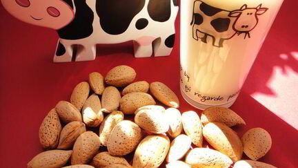 Рецепт Миндального молока