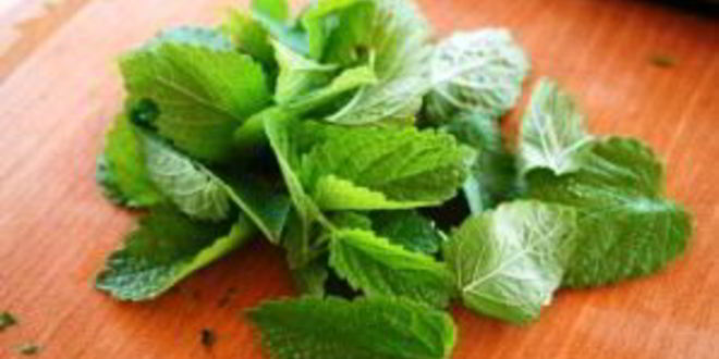 Рецепт алкогольного напитка в стиле мохито