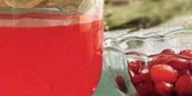 Рецепт морса из брусники