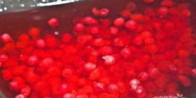 Рецепт морса из замороженных ягод