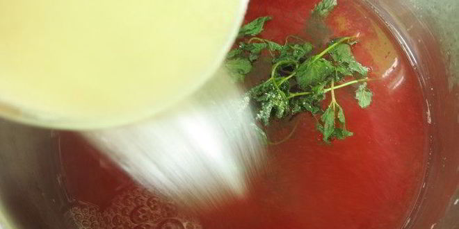 Рецепт морса кизилового