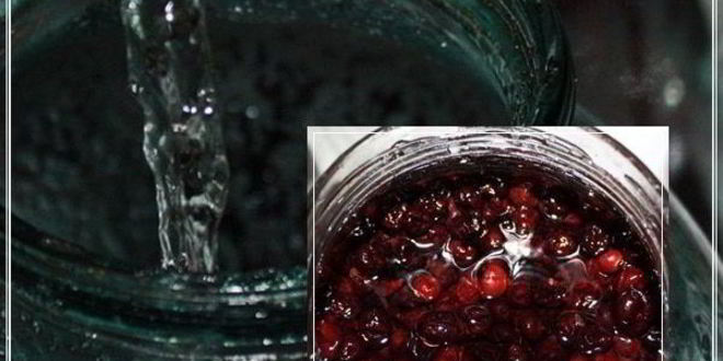 Рецепт наливки черносмородиновой