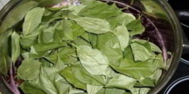 Рецепт наливки из черноплодной рябины