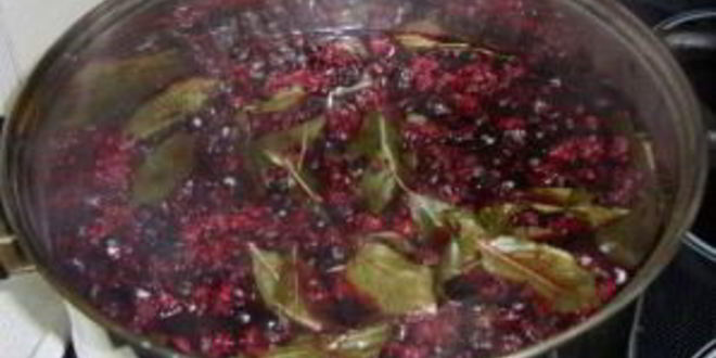 Рецепт наливки из черноплодной рябины