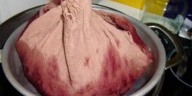 Рецепт наливки из черноплодной рябины