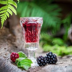 Рецепт Наливки из ежевики