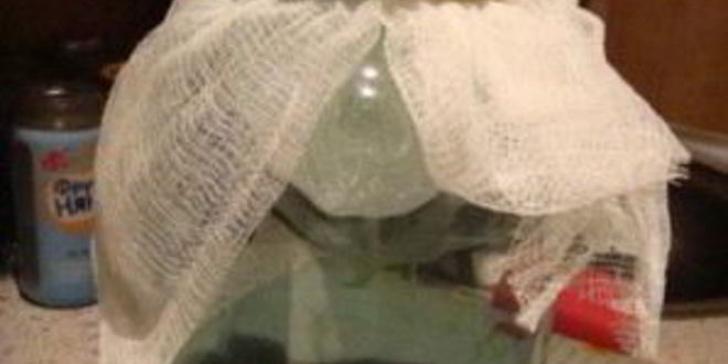 Рецепт наливки из клюквы