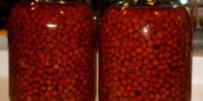 Рецепт наливки из рябины