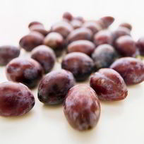 Рецепт Наливки из слив