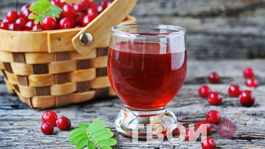 Рецепт наливки