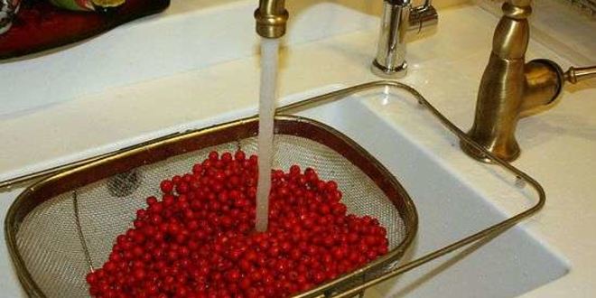 Рецепт рябиновой наливки