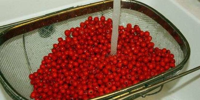 Рецепт рябиновой наливки