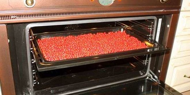 Рецепт рябиновой наливки