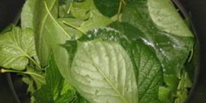 Рецепт смородиновой наливки